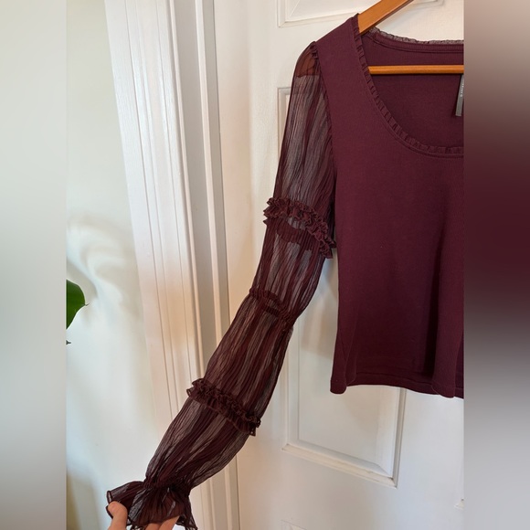 Anthropologie Long-Sleeve Victorian Ruffled Top small - Picture 8 of 8